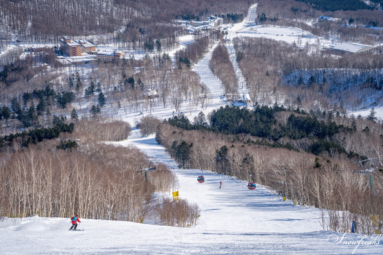 十勝サホロリゾート 快晴の空の下、極上の粉雪クルージングバーンを心ゆくまで味わう１日(*^^*)